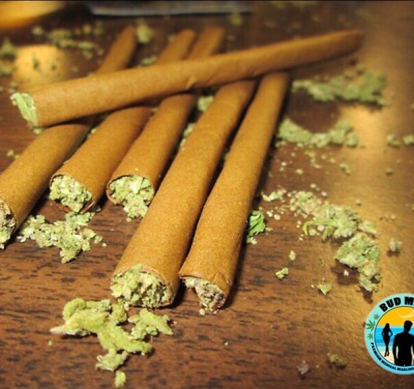 Bud Man Super Blunts (1.5g 8 types) Bud Man OC