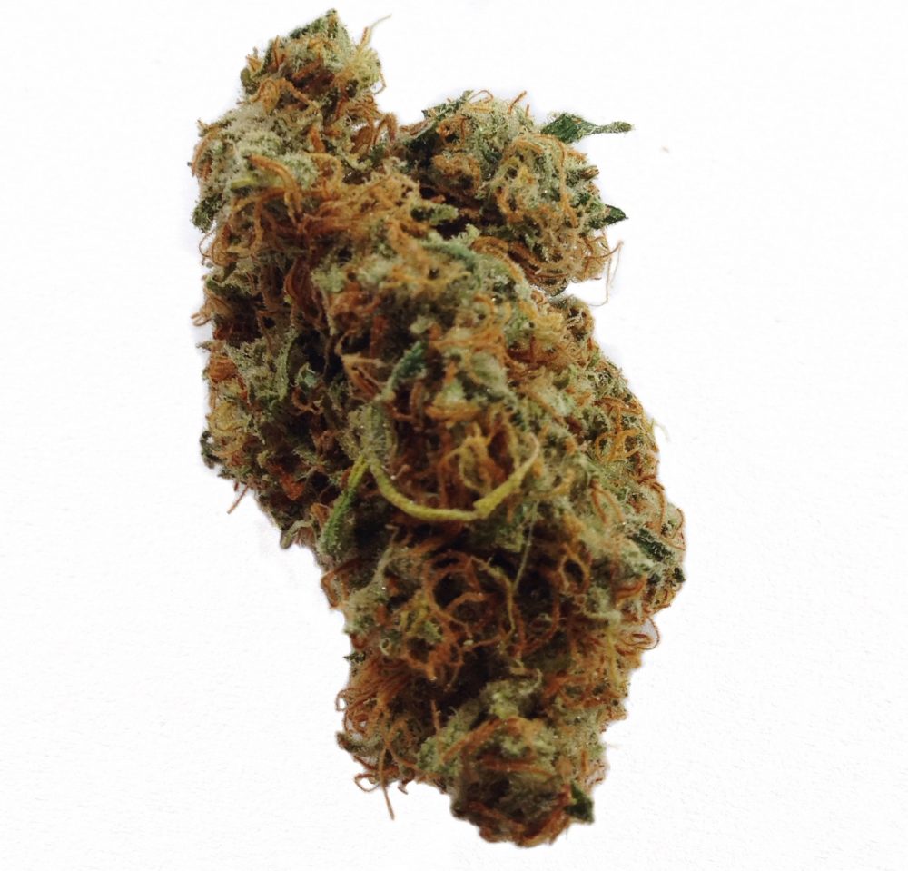 Sativa Bud Man OC