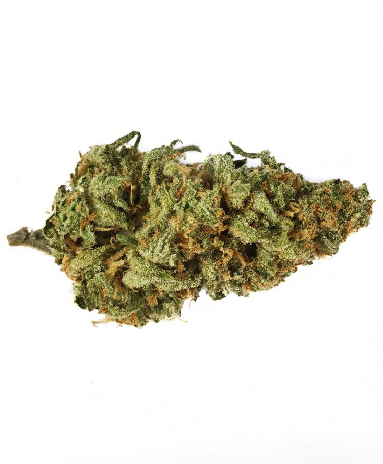 Black jack sativa