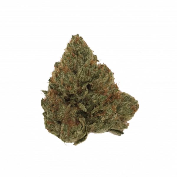 medical marijuana home delivery essay Those who support legalization claim that marijuana has legitimate medical benefits many argue that marijuana is home essays medical marijuana delivery. medical marijuana home delivery essay Those who support legalization claim that marijuana has legitimate medical benefits many argue that marijuana is home essays medical marijuana delivery.