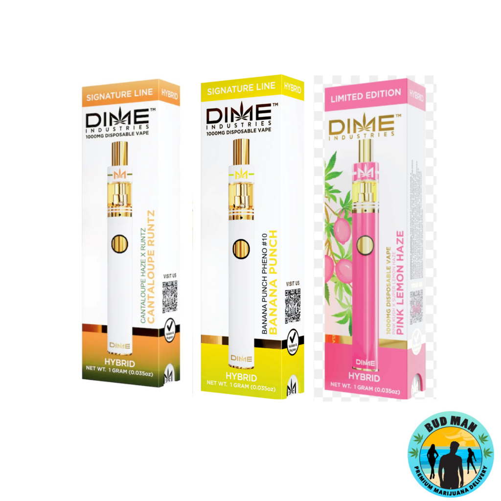 Dime Disposable Vape Pen And Cartridge Set Gram Options Bud