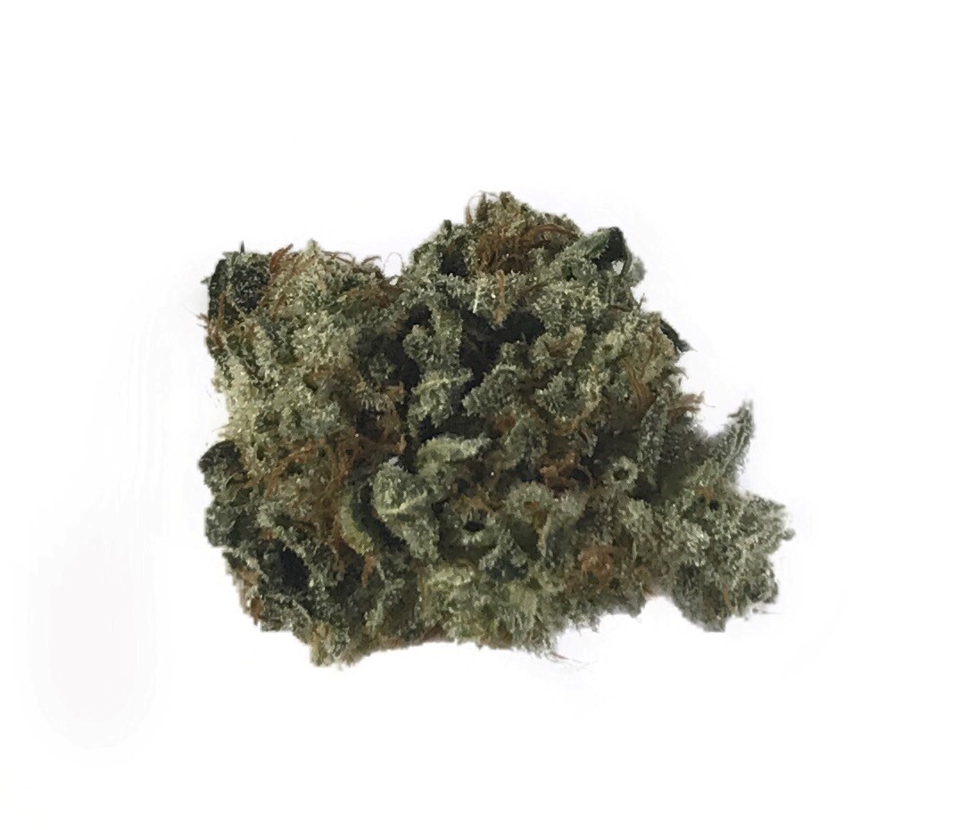 Silverback Gorilla Bud Man Orange County