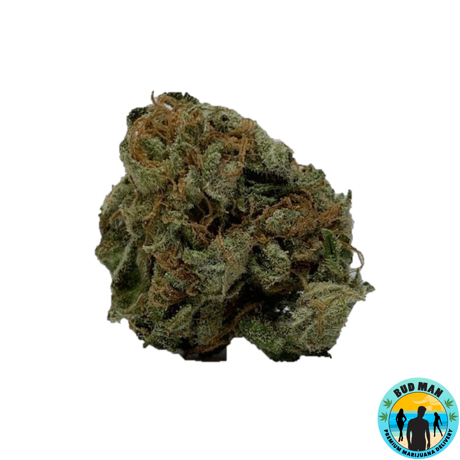 Durban Poison (Motherland Genetics) :: Cannabis Strain Info