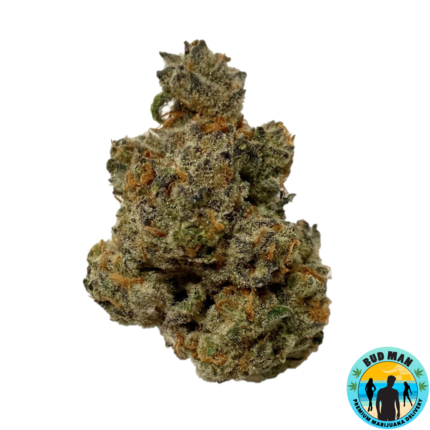 Girl Scout Cookies Extreme 34 5 Thc Premium Bud Man Orange County Dispensary