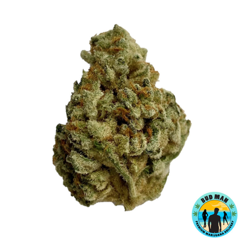 Papaya Dream (34.4 THC premium) Bud Man Orange County