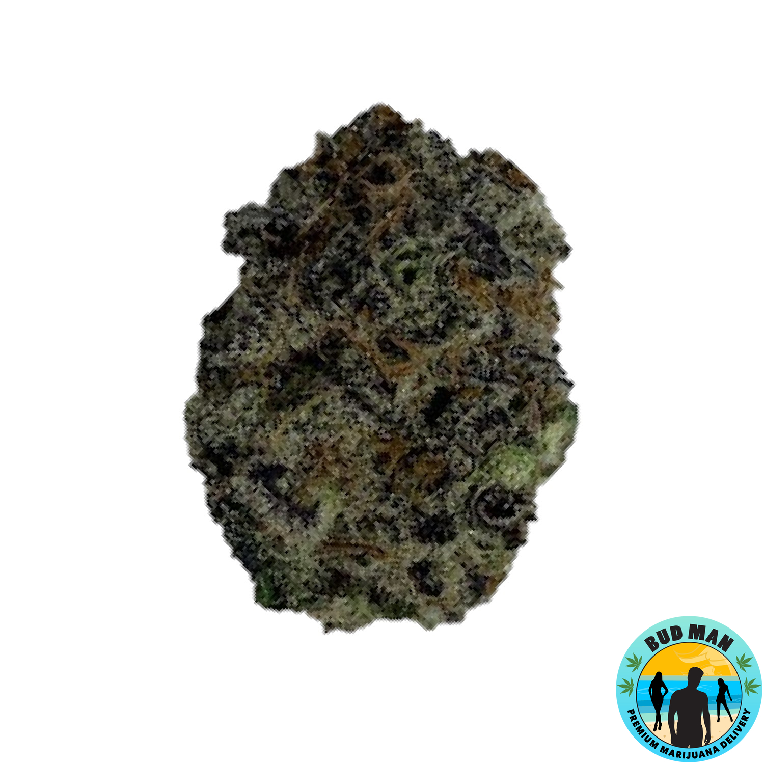 Jungle Kush (34.1 THC premium) Bud Man Orange County