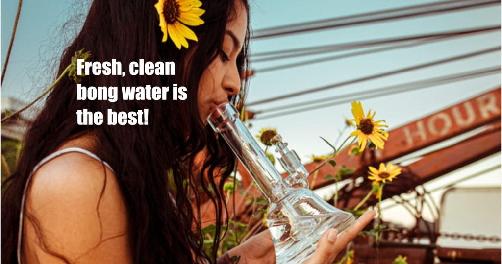 Keep Your Bong Water Clean Bud Man Orange County