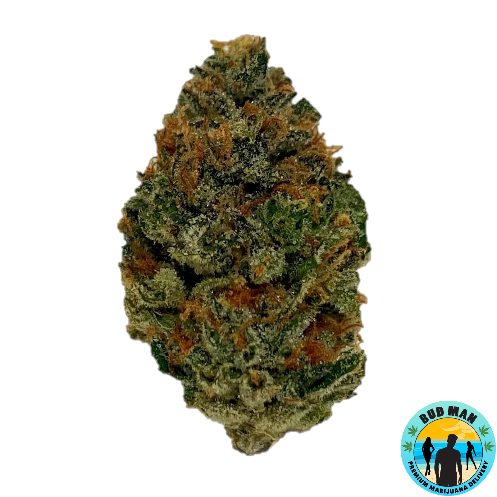 Pie Face Bud Man Orange County