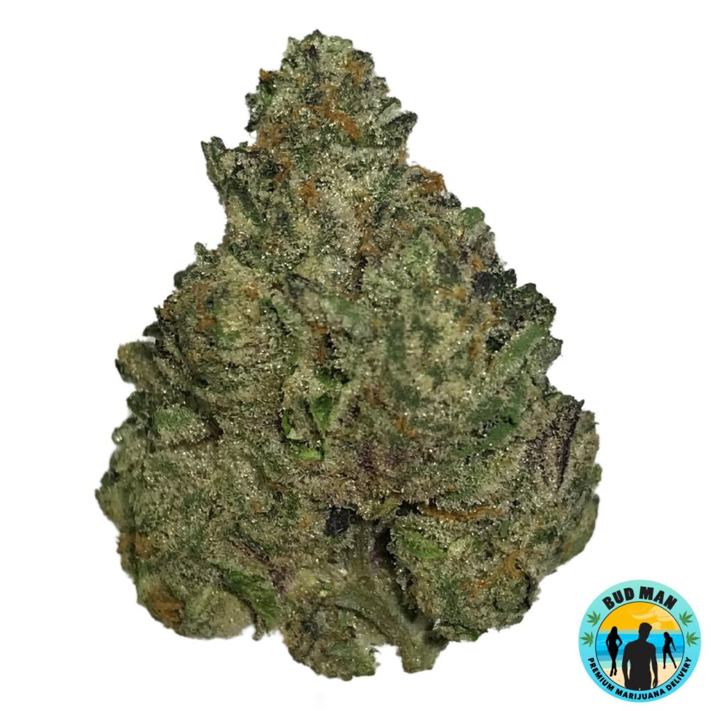 Royal Kush (34.0 THC premium) Bud Man Orange County Dispensary