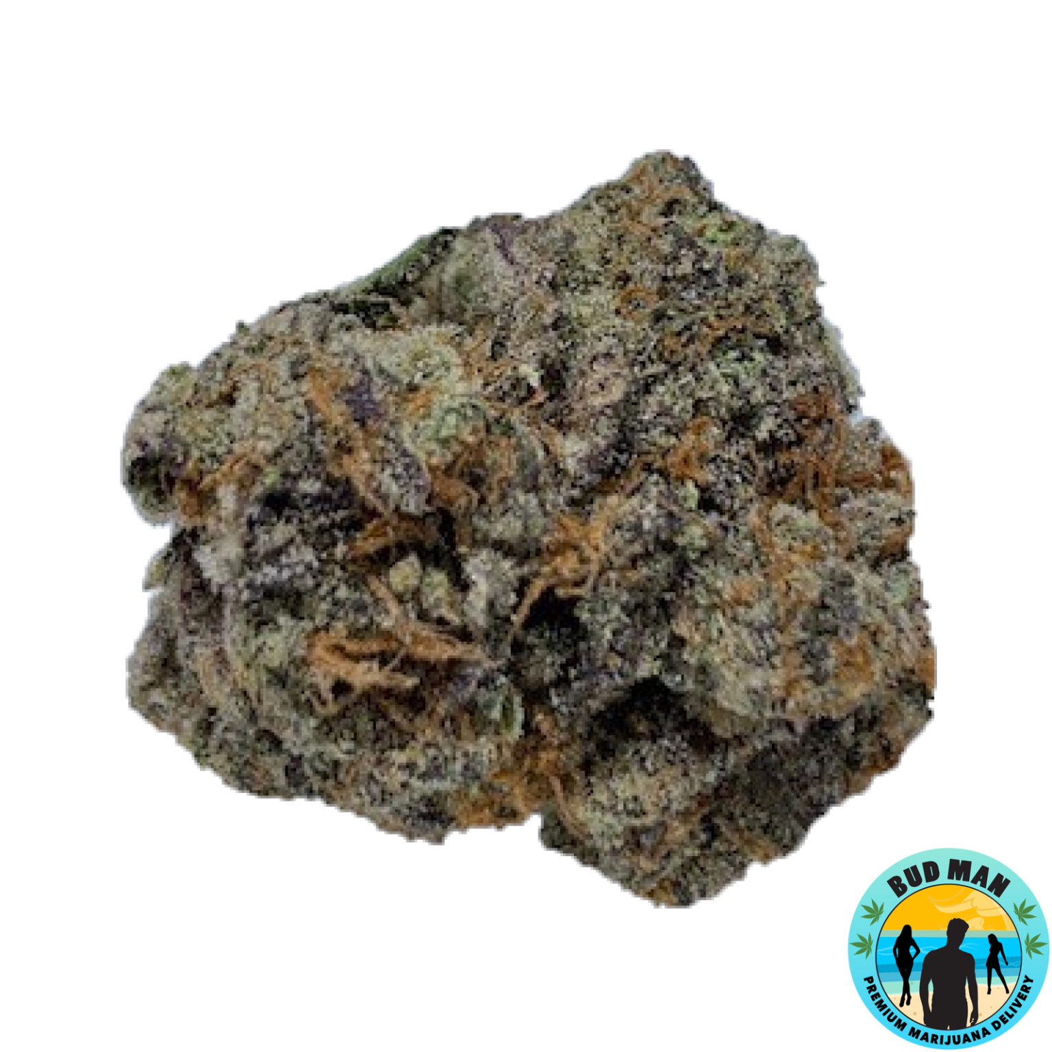 Royal Kush (34.0 THC premium) Bud Man Orange County Dispensary