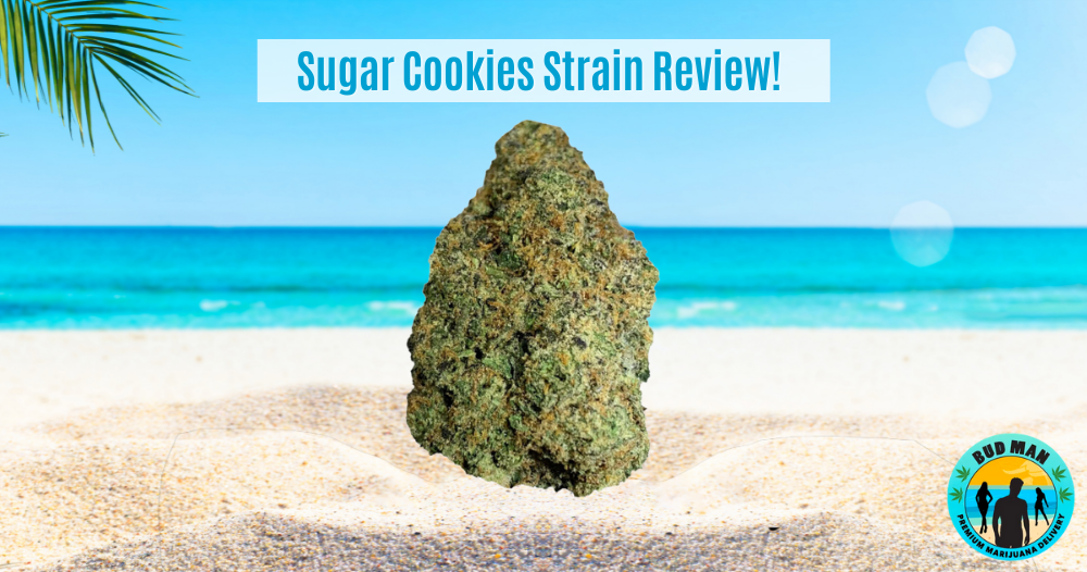 Sugar Cookes Review image