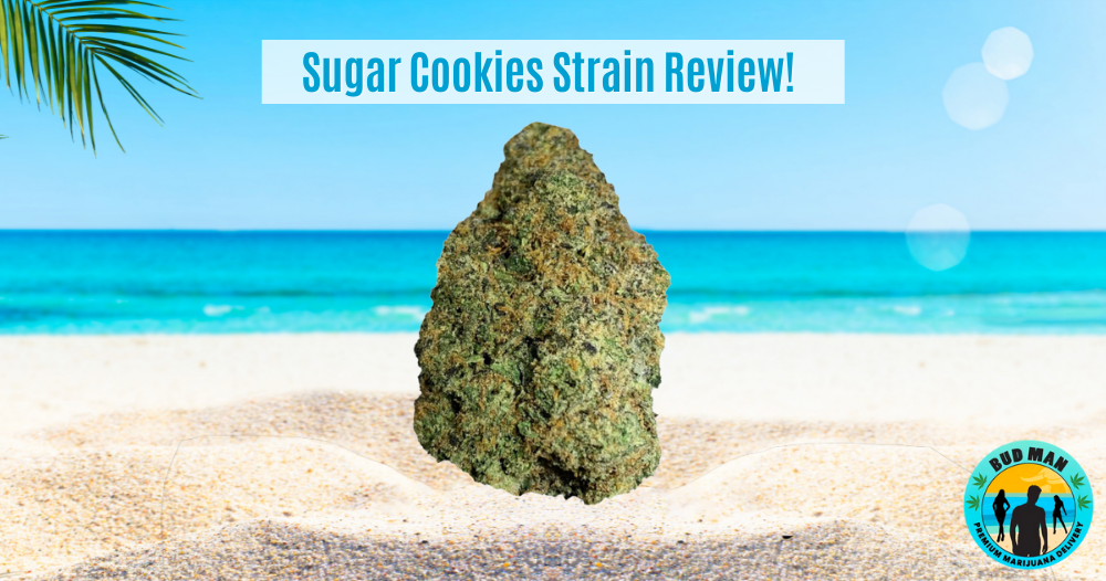 Weed Strain Review: Sugar Cookies | Bud Man Orange County Dispensary