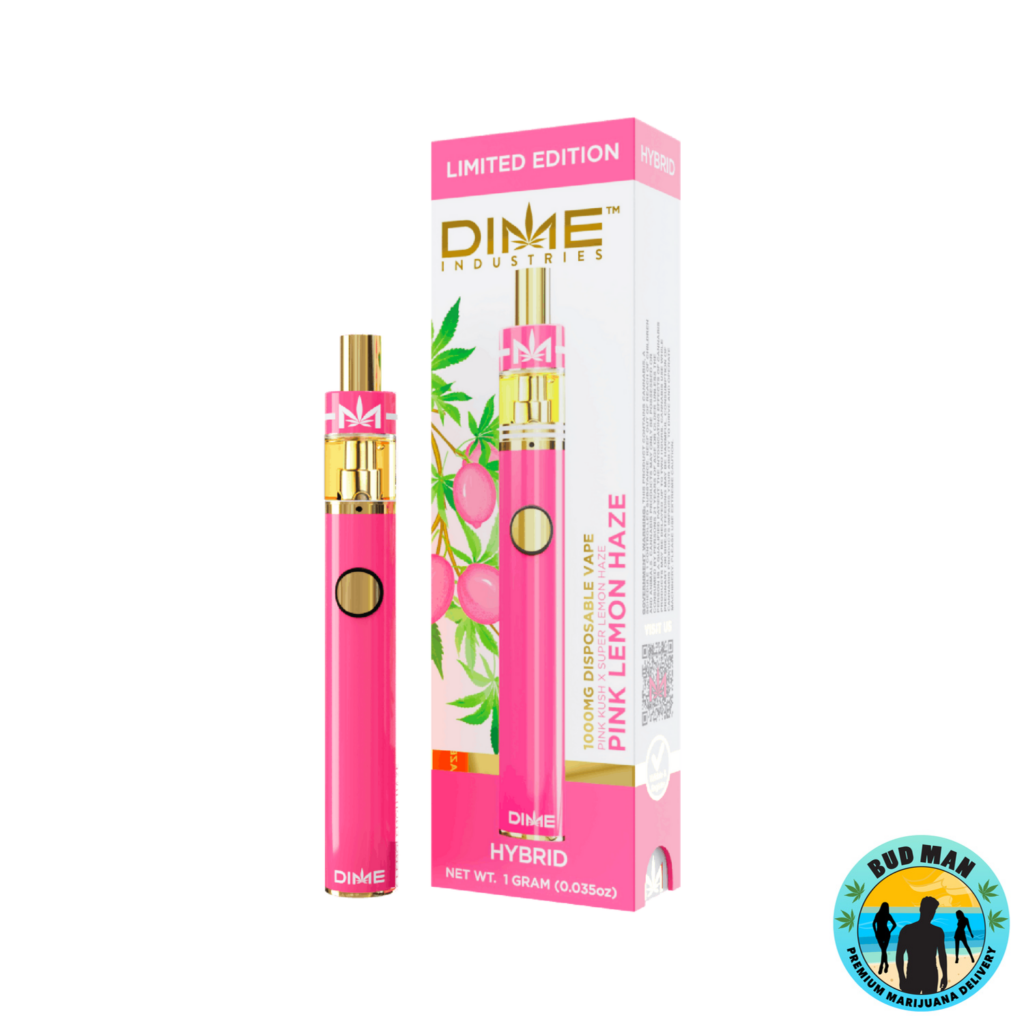 DIME Disposable Vape Pen and Cartridge Set (1 gram 19 options) Bud