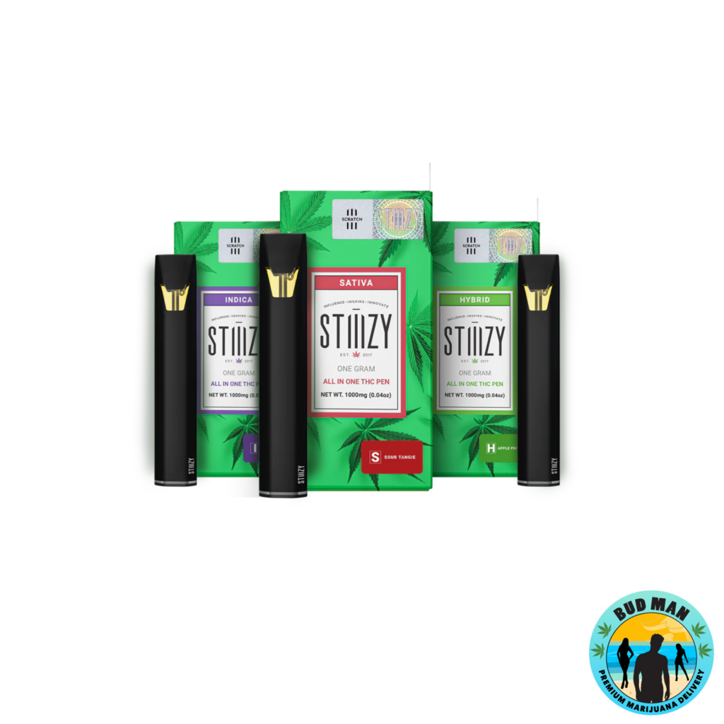 STIIIZY All-In-One Disposable THC Pen (1 gram – 10 options): Bud Man ...